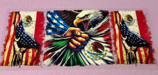 #41-USA*Mexico Pride